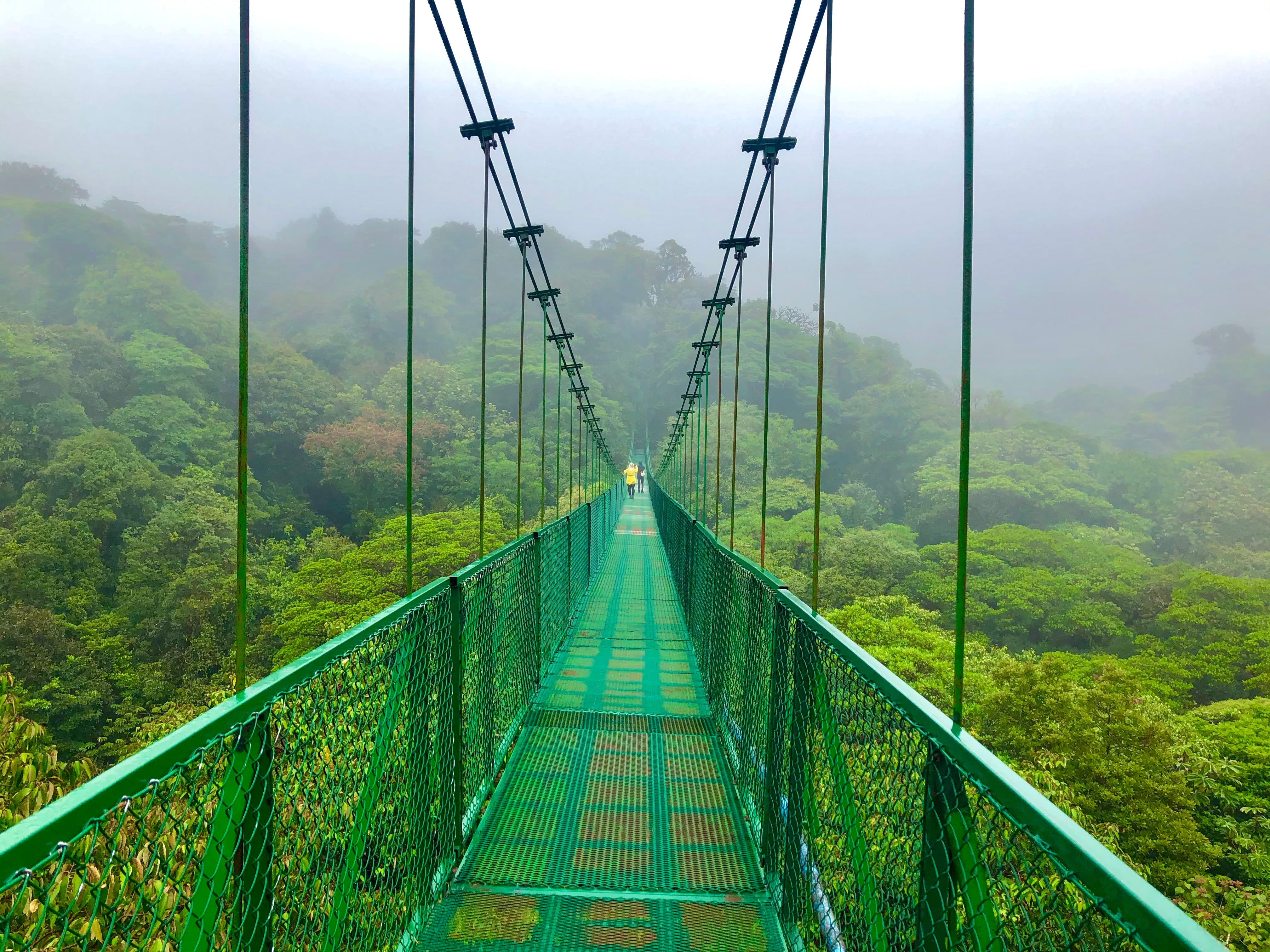 Monteverde tour experience