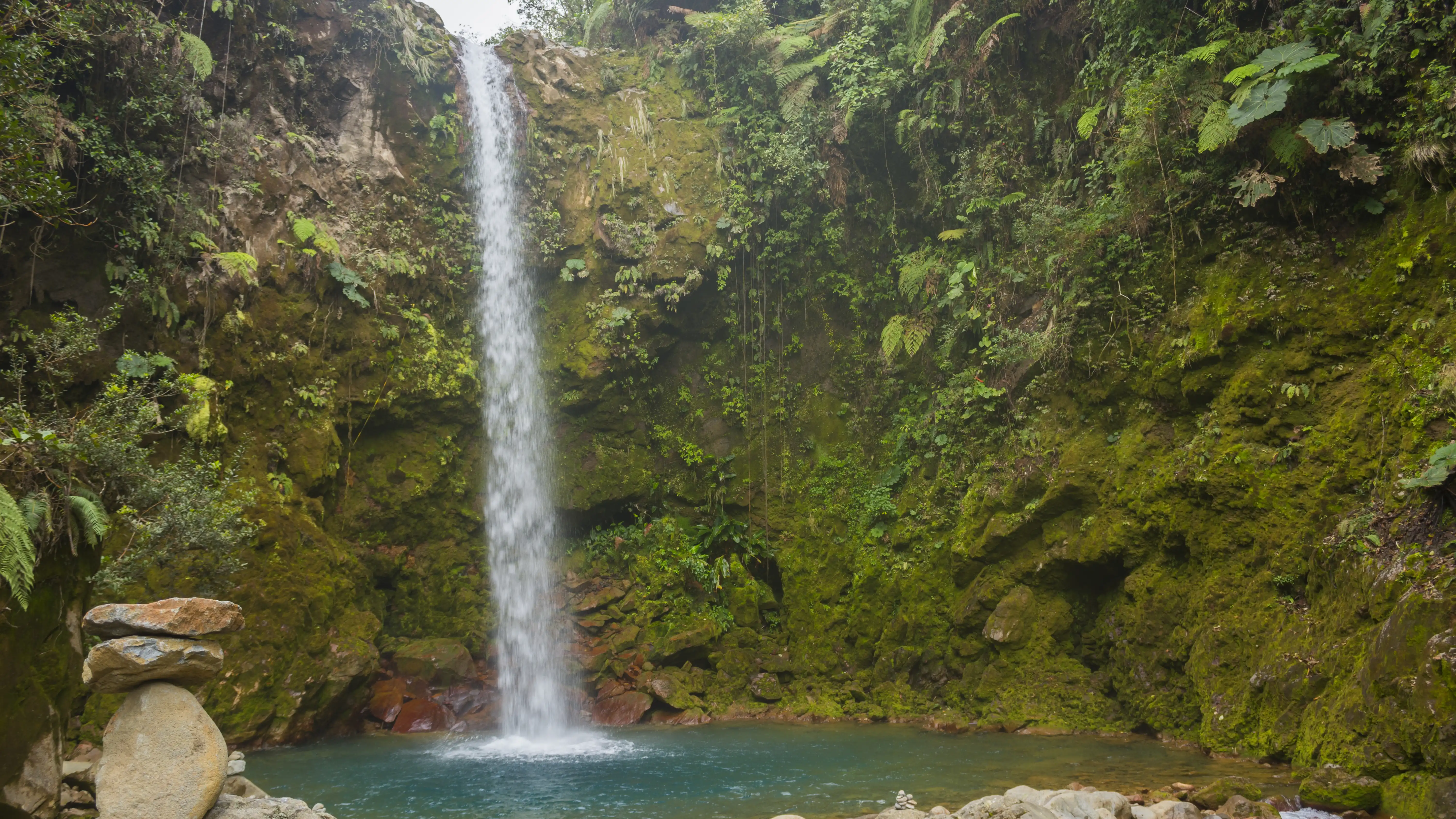 Una grande cascata nel mezzo di una foresta.