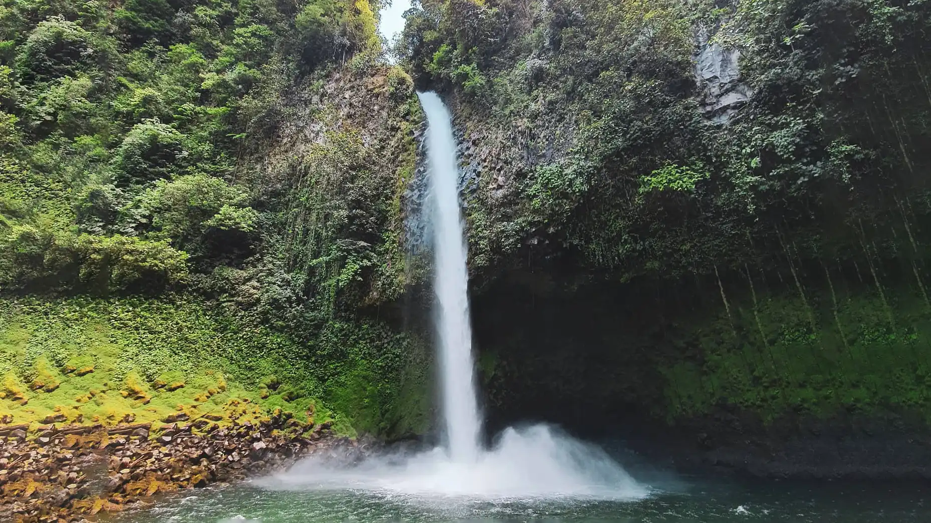 Una cascata nel mezzo di una foresta verdeggiante.