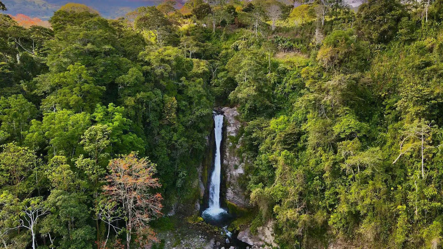 Una cascata in mezzo alla foresta.