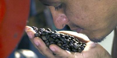 Foto per gentile concessione di Visit Costa Rica