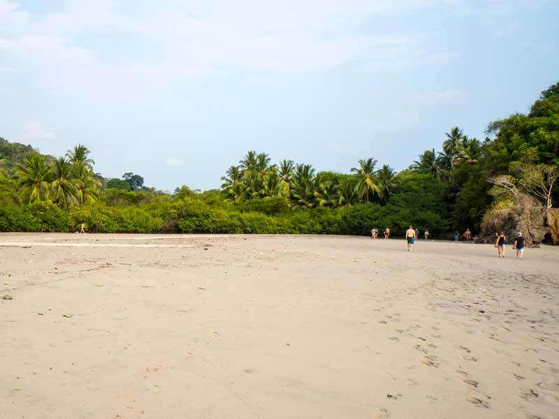 Un gruppo di persone che cammina lungo una spiaggia sabbiosa.
