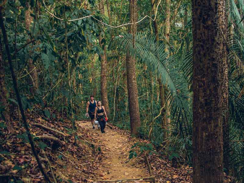 Un gruppo di persone che fa escursioni in una foresta.