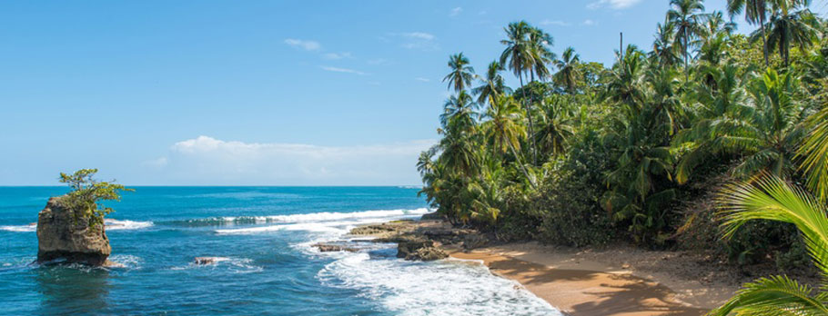 Una spiaggia tropicale con palme e una roccia affiorante.