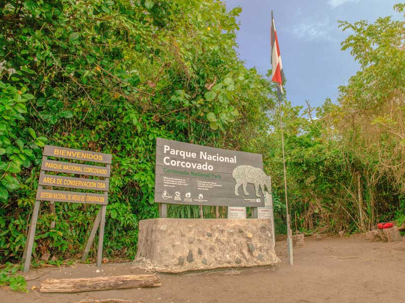 Un cartello davanti a una foresta verde e rigogliosa.