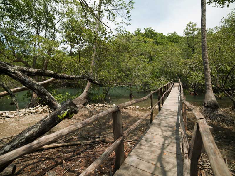 Un ponte di legno su un fiume circondato da alberi