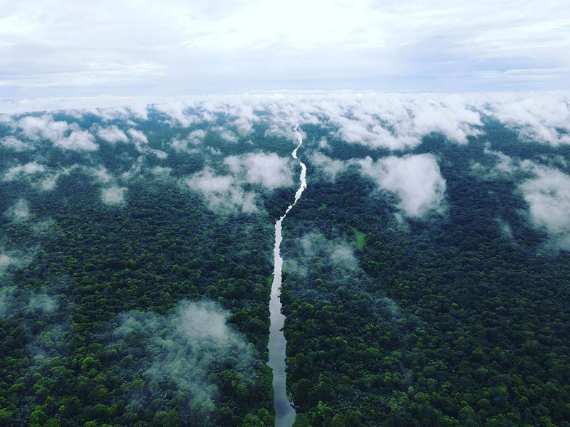 vista aerea del fiume attraverso la giungla
