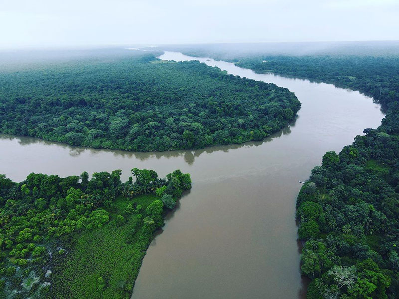 Un fiume che scorre in una foresta verde e rigogliosa.