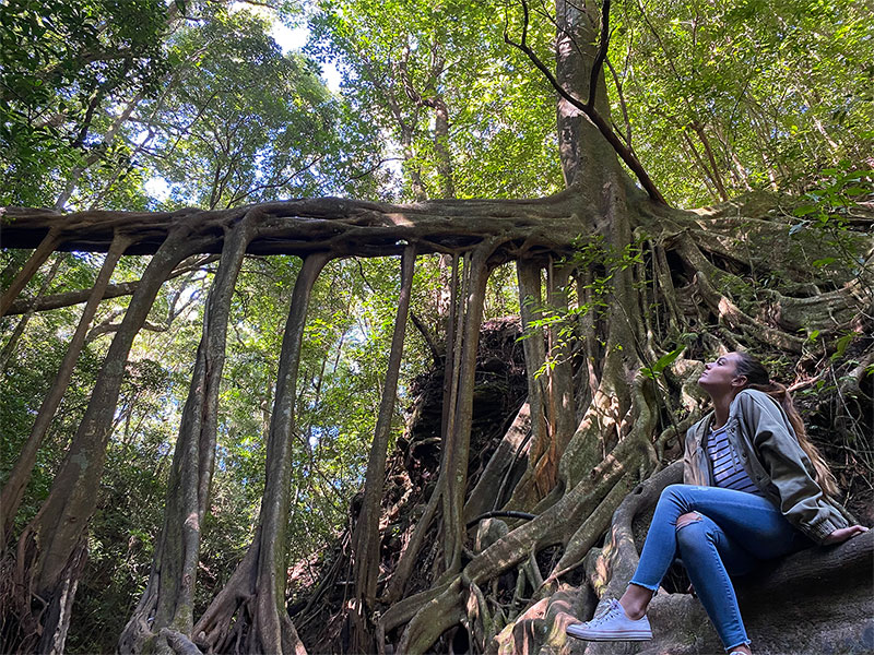 donna seduta accanto alle radici di un albero in superficie