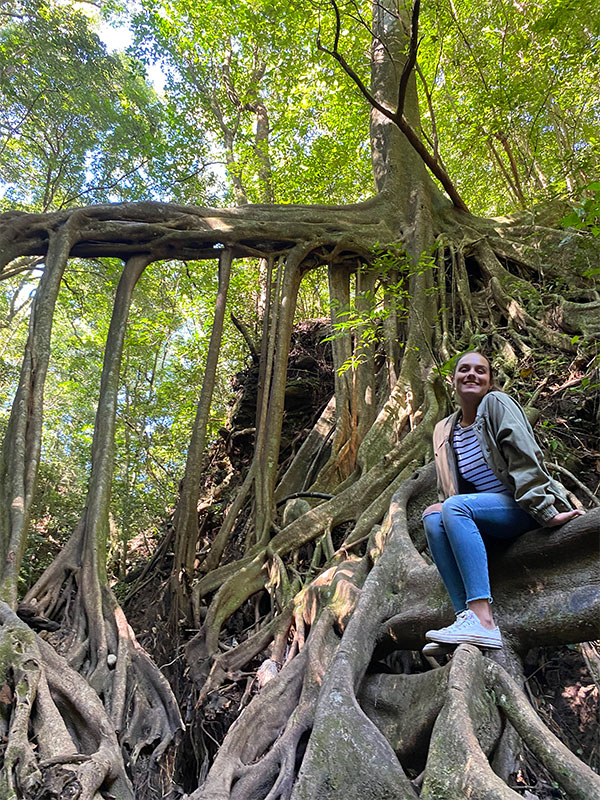 Una donna seduta in cima a un albero in una foresta.