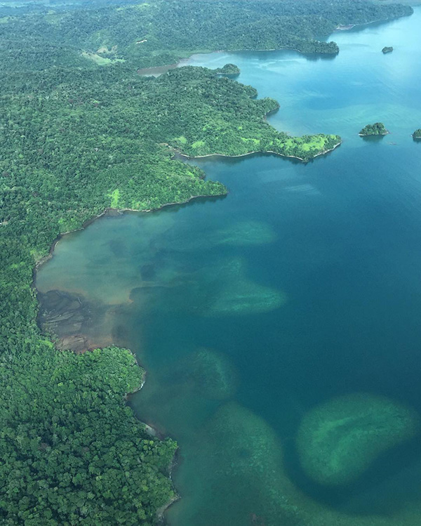 Un grande specchio d'acqua circondato da alberi verdeggianti.