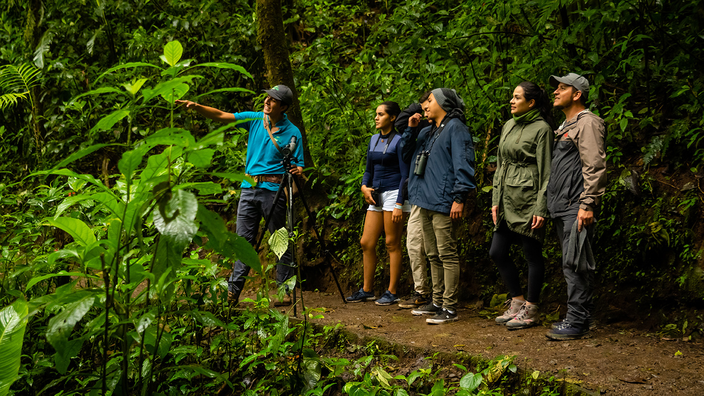 Riserva Biologica della Foresta Nuvolosa di Monteverde