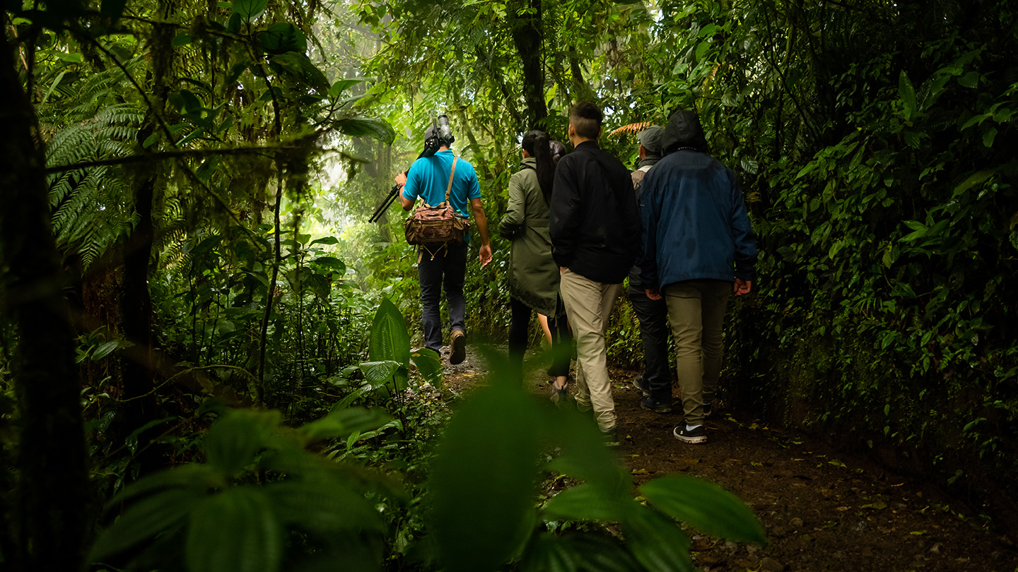 Riserva Biologica della Foresta Nuvolosa di Monteverde 