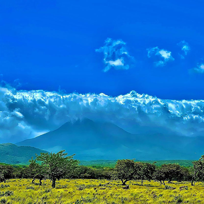 Un campo erboso con alberi e montagne sullo sfondo.