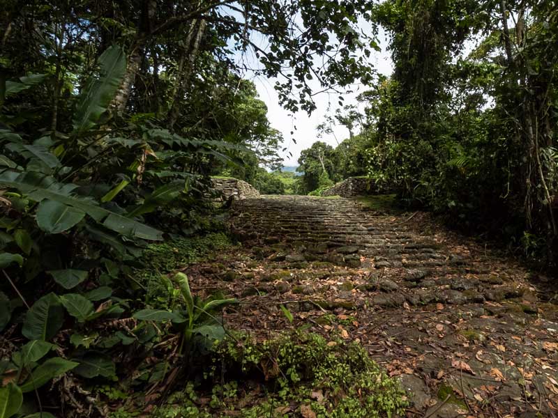 Una strada sterrata in mezzo alla giungla.