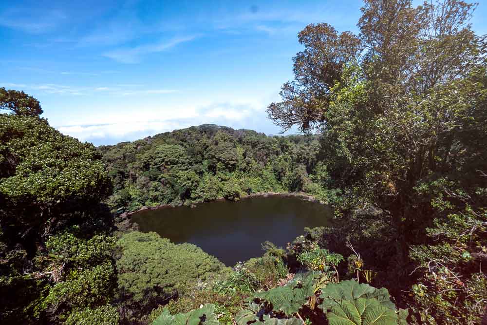 Vista aerea di un lago circondato da alberi.