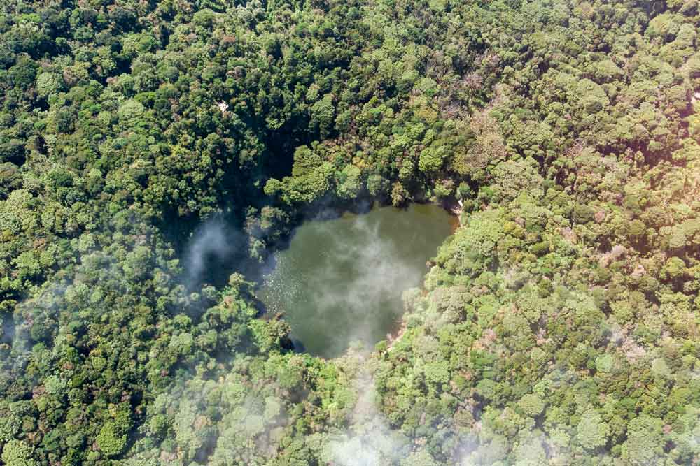 Vista aerea di un lago circondato da alberi.
