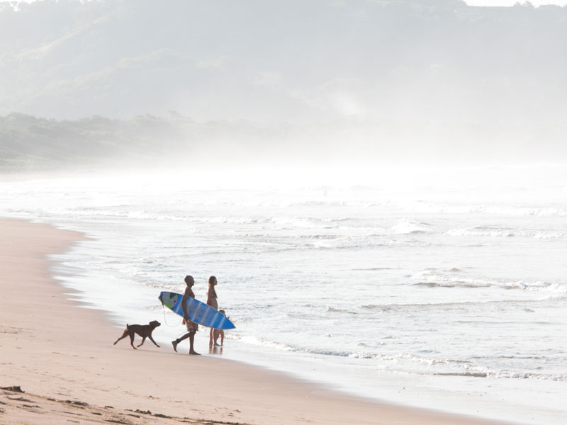 Un gruppo di persone che cammina lungo una spiaggia con un cane.