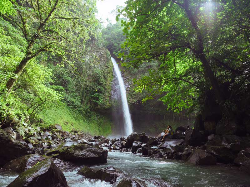Una piccola cascata in mezzo alla foresta.