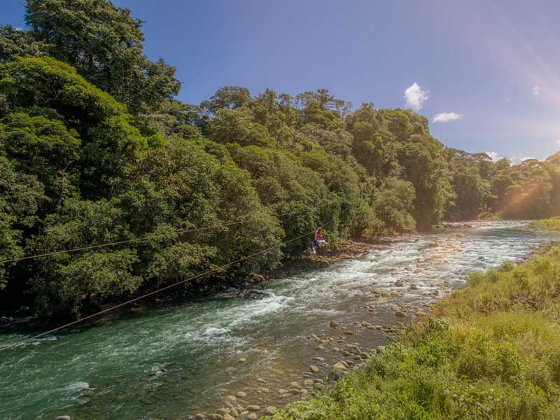 Un fiume che scorre in una foresta verde e rigogliosa.