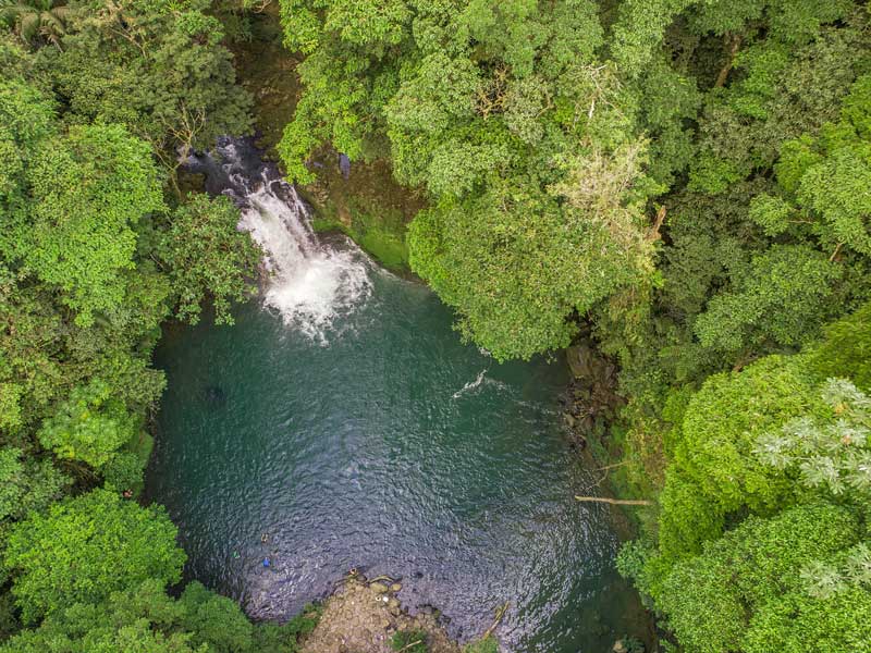 Un fiume che scorre in una foresta verde e rigogliosa.