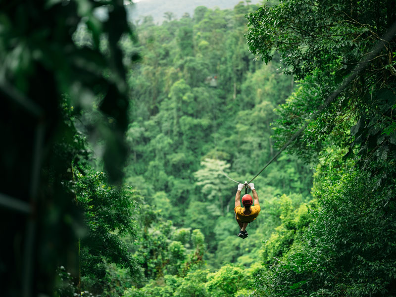 Un uomo che percorre una teleferica nel mezzo di una foresta.