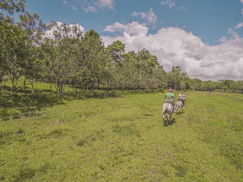 Due persone a cavallo in un campo verde e rigoglioso.