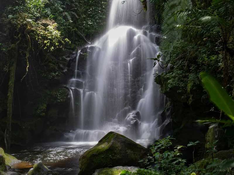 Una grande cascata nel mezzo di una foresta.