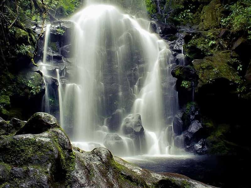 Una grande cascata nel mezzo di una foresta.