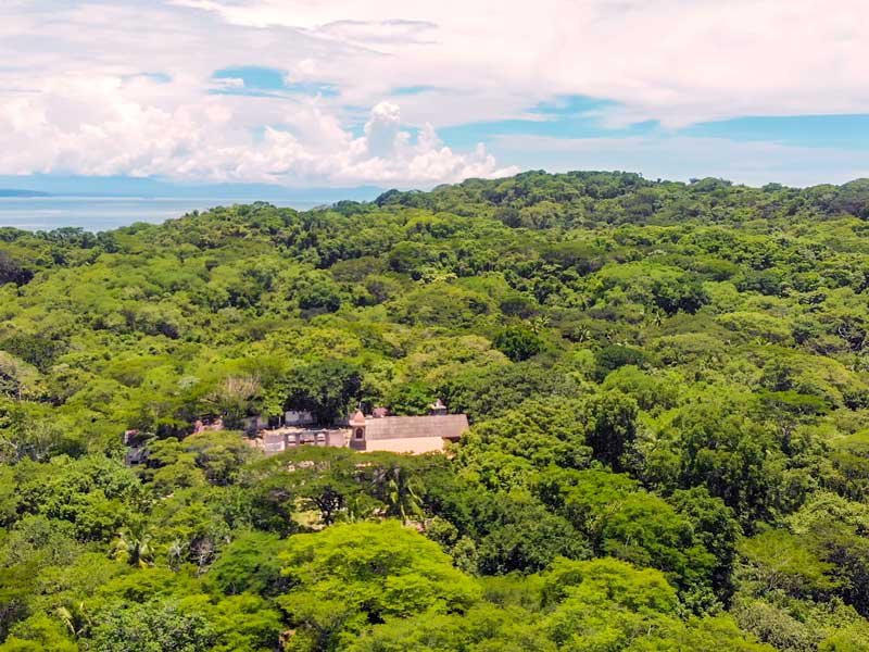 Una veduta aerea di una foresta verde e rigogliosa.