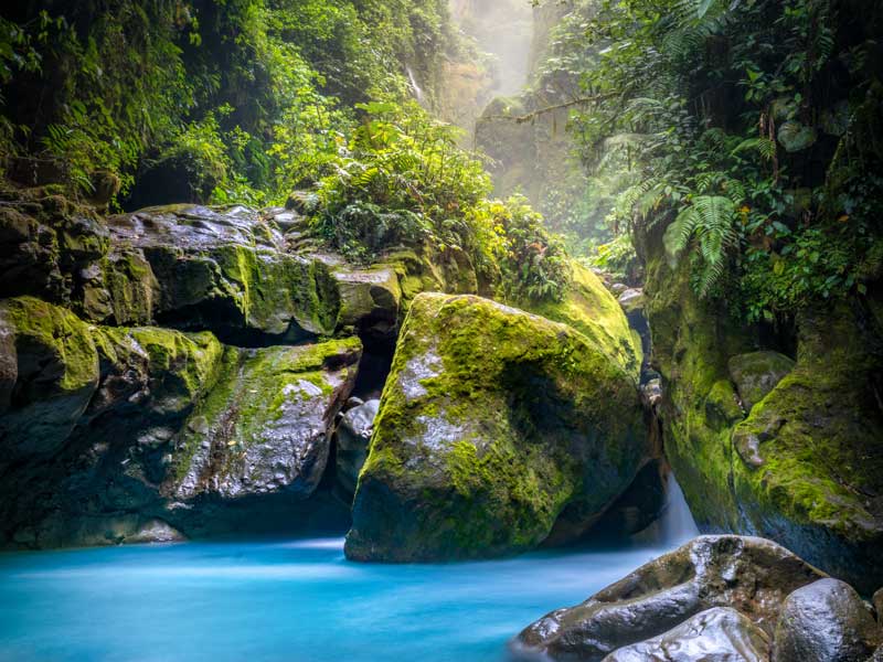rocce con muschio e cascata nella giungla