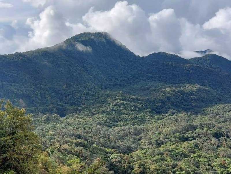 Una catena montuosa con alberi e nuvole sullo sfondo. 