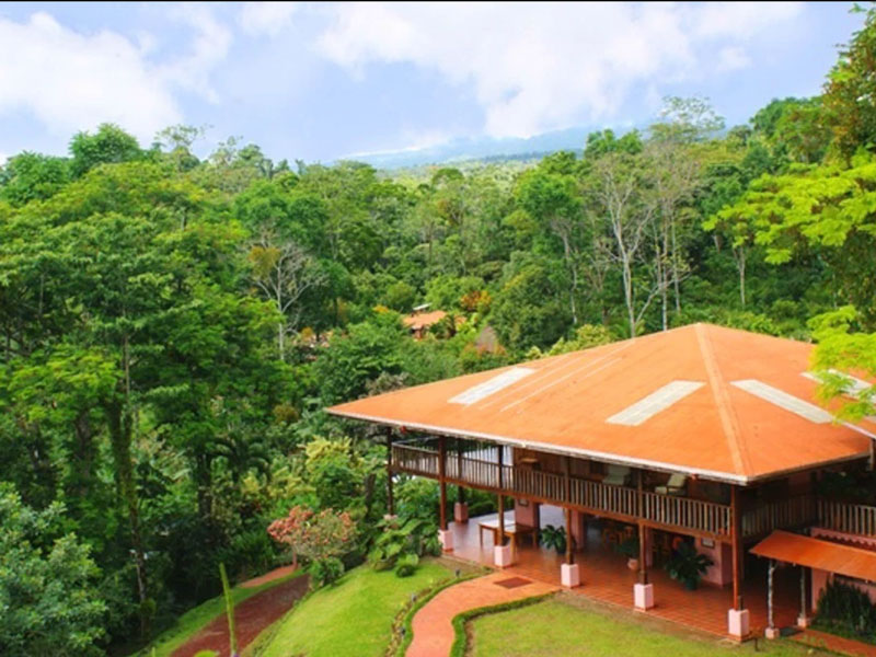 Una casa in mezzo a una foresta verde e rigogliosa.