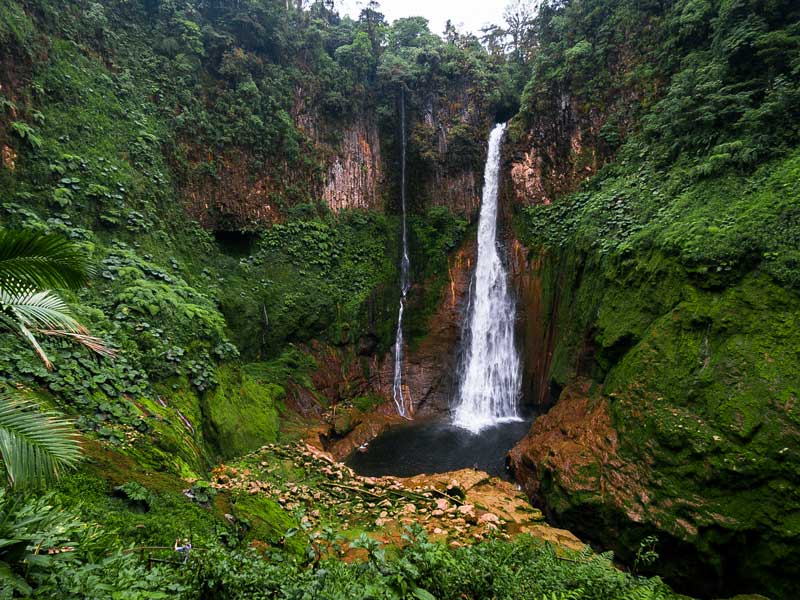 Una cascata nel mezzo di una foresta verdeggiante.
