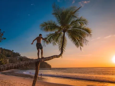 uomo che cammina su una palma appoggiata sulla spiaggia