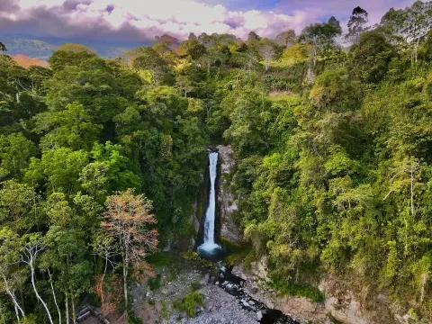 vista aerea di una cascata nella giungla