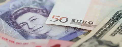 Il denaro da vicino