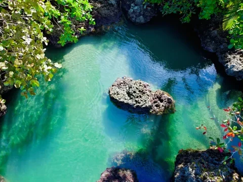 vista aerea di Cahuita 