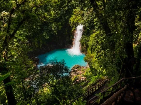 cascata nella giungla