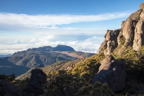 Paesaggio in una bella mattinata con vegetazione paramo nel Parco Nazionale Chirripo