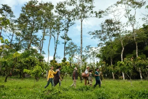 gruppo-foresta-cioccolato-finca-la-amistad-rio-celeste.jpg