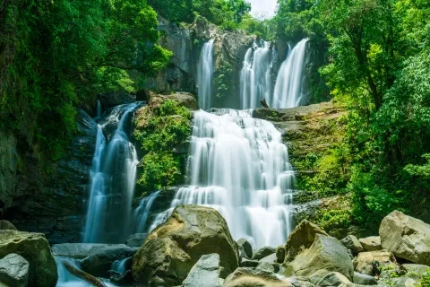 numerose cascate nella foresta