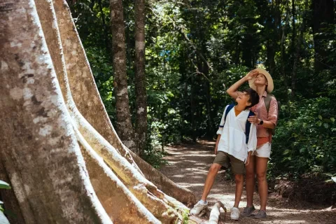 una mamma e suo figlio che guardano un grande albero nella foresta