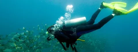 banner-top-diving.jpg