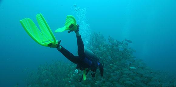 subacqueo che nuota verso il pesce
