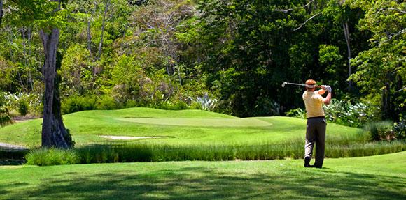 swing del golf