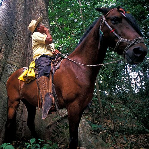 guia guancaste norte