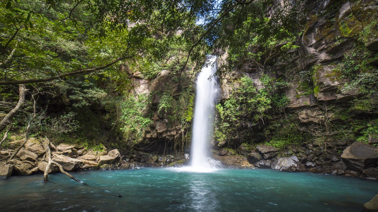 Parco nazionale di Guanacaste