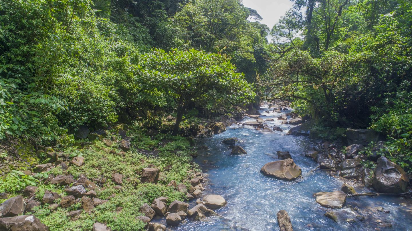 Rio Celeste al Parco Nazionale del Vulcano Tenorio