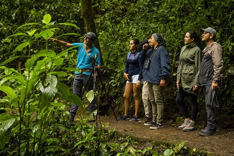 guias laterale puntarenas.webp